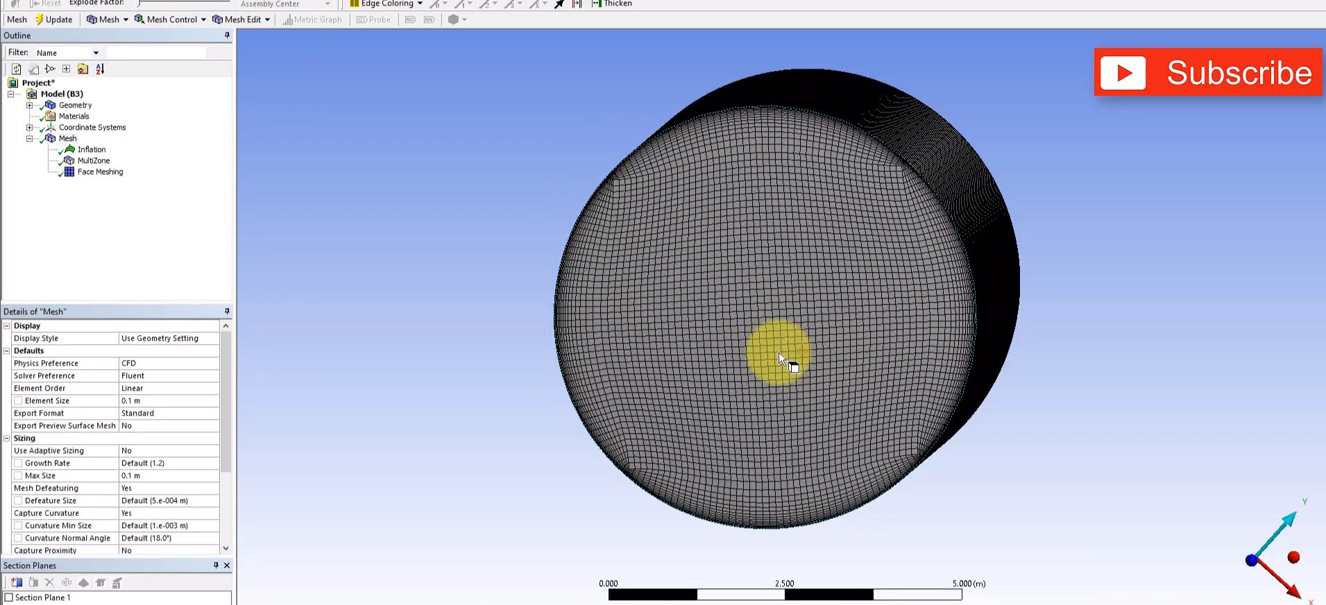 ANSYS face sizing